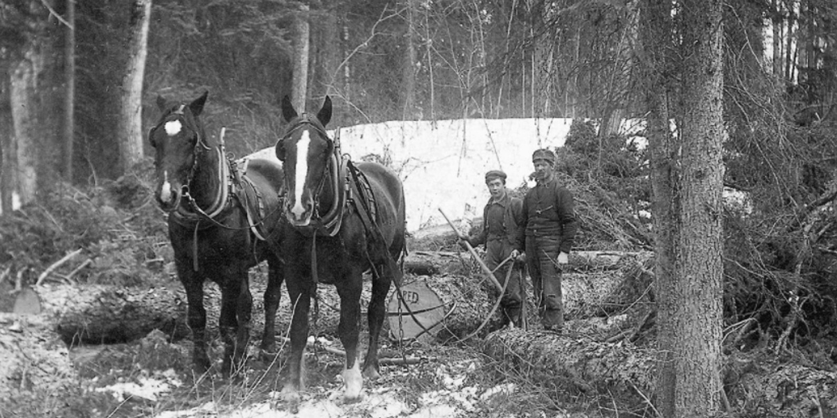 Lumber 1890